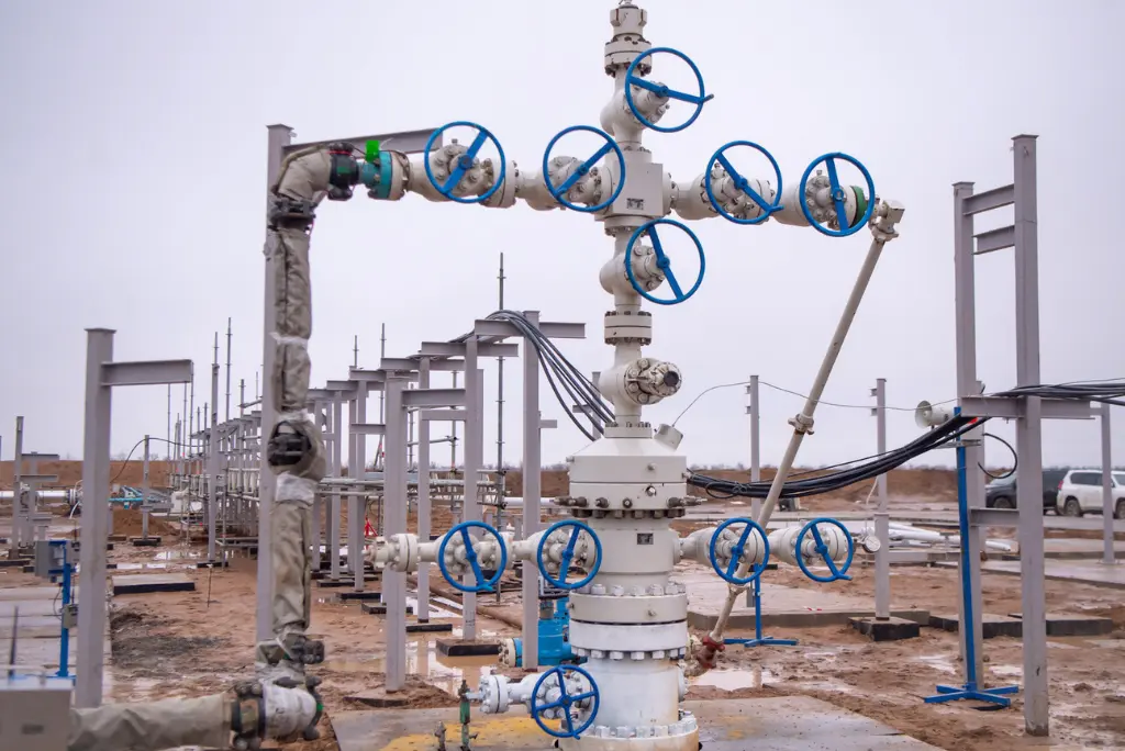 Downhole & Surface Equipment